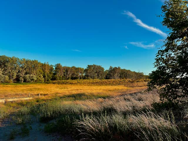 Headlands Dunes State Nature Preserve - Image 1