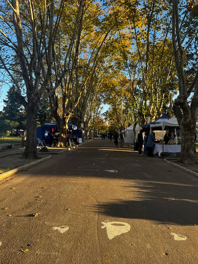 Plaza Belgrano, City Bell - Image 1