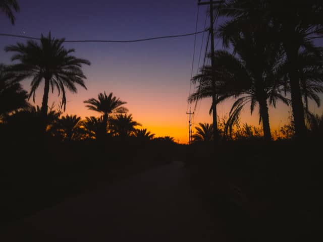Babylon Palm Groves - Image 1