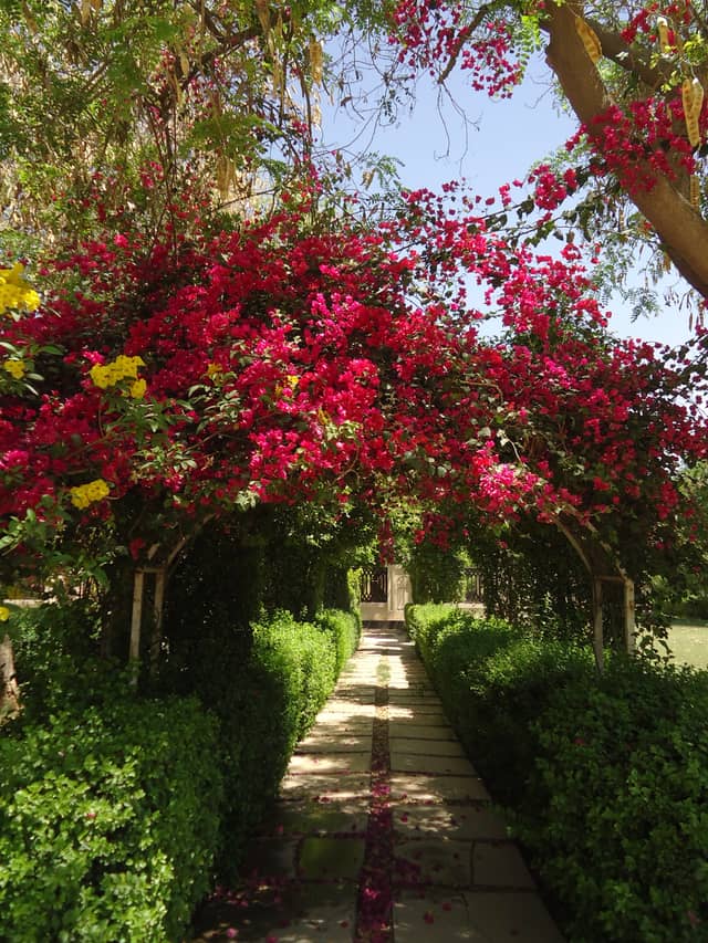 Babylon Gardens - Image 1