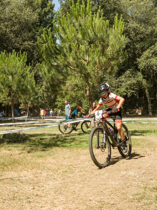 Pineta di Ponente - Image 1