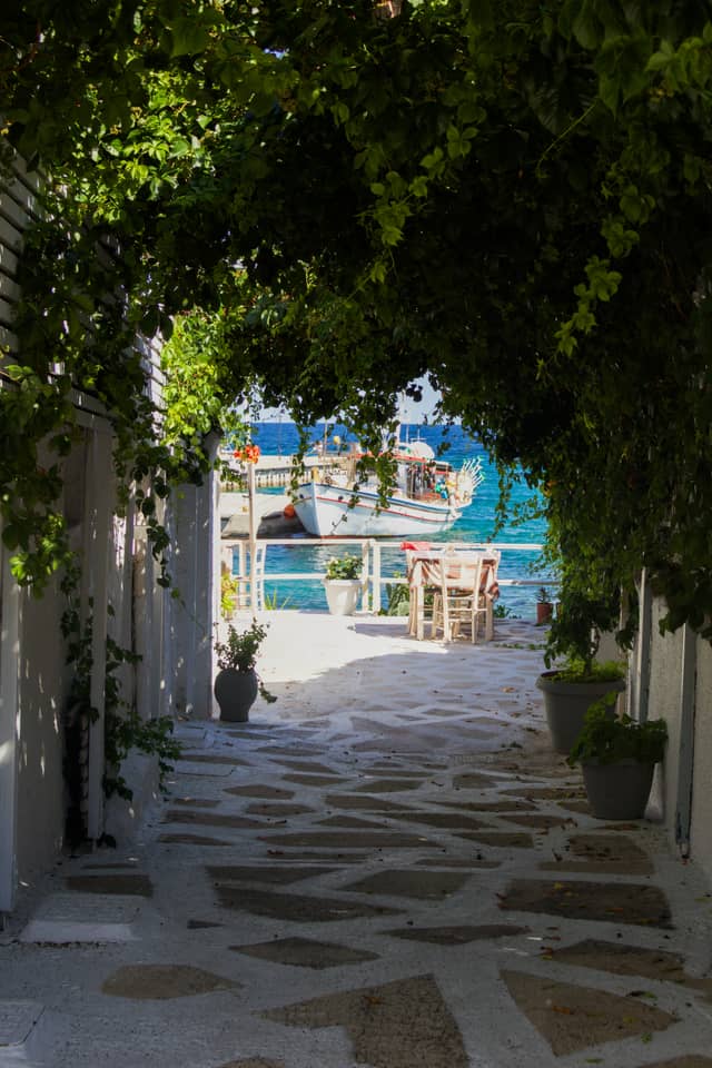 Aegina Coastal Alleyway - Image 1