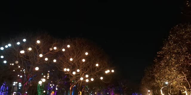 Jubilee Park Light Display - Image 1