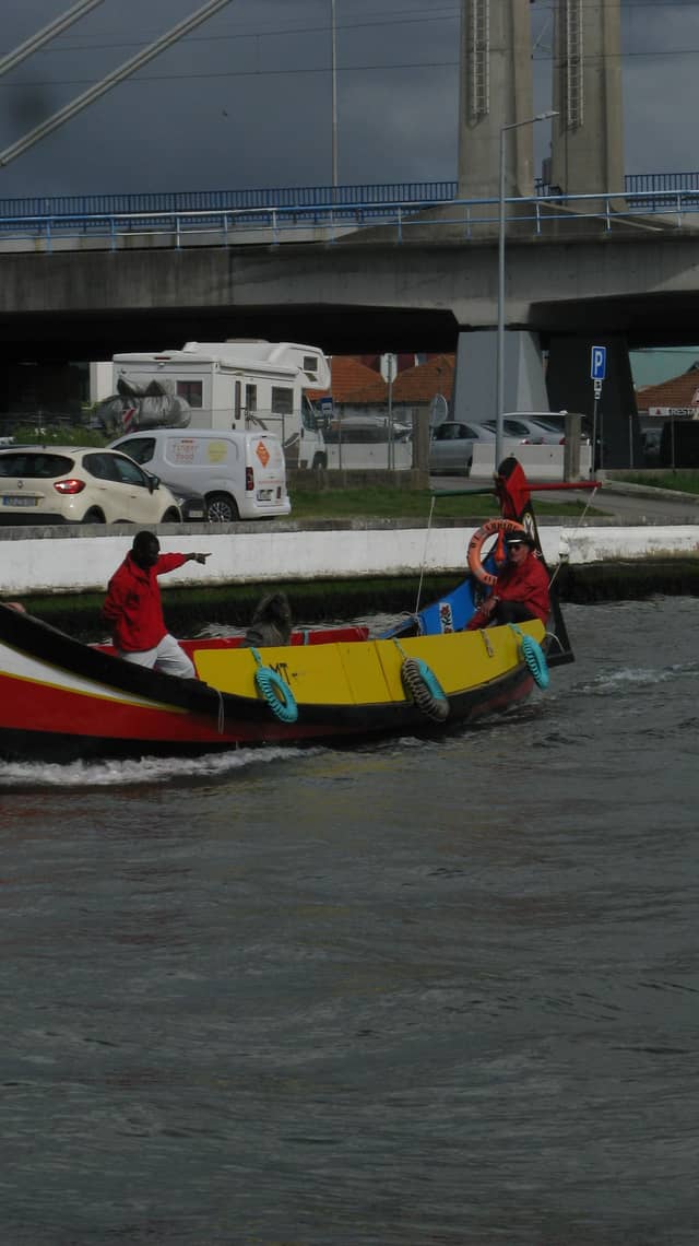 Aveiro Canal and Moliceiro Boats - Image 1
