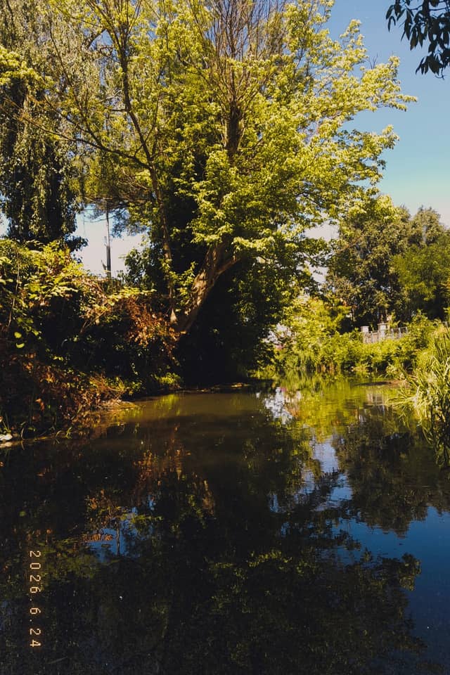 Lajta River at Paál László Street - Image 1