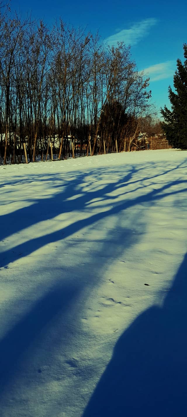 Kimle Snowy Fields - Image 1