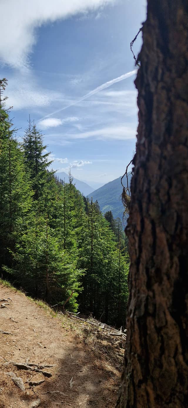 Stelvio National Park Forest Trail - Image 1