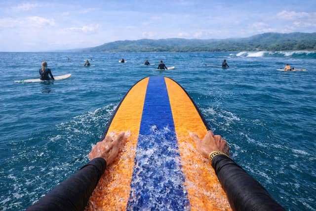 Tropical Surf Lineup - Image 1