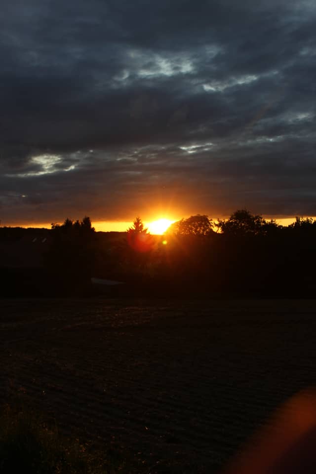 Hallertau Countryside Sunset - Image 1