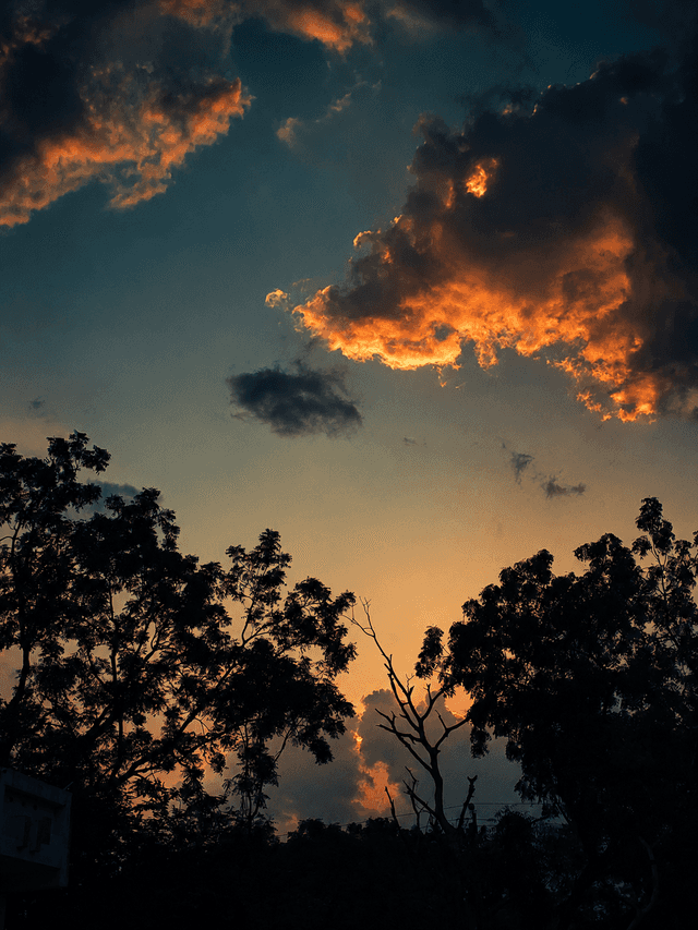 Kathlal Sunset Horizon - Image 1