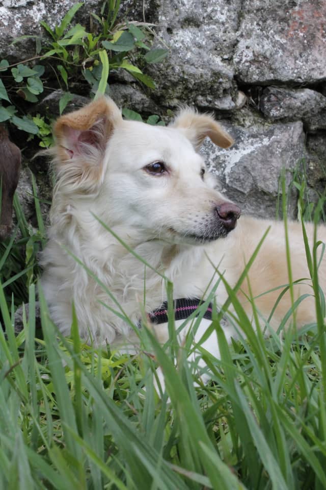 Finca Florencia - Image 1