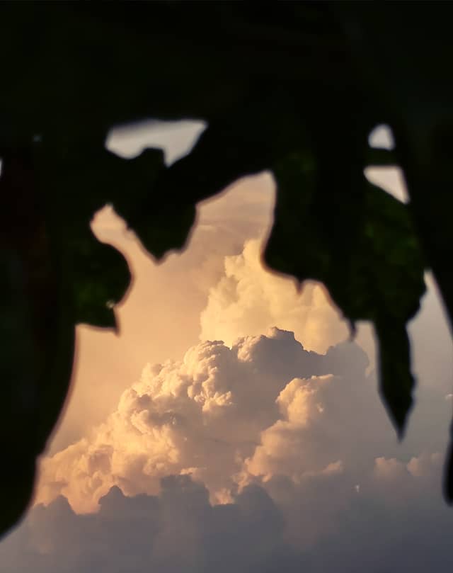 Wayanad Cloudscape Overlook - Image 1