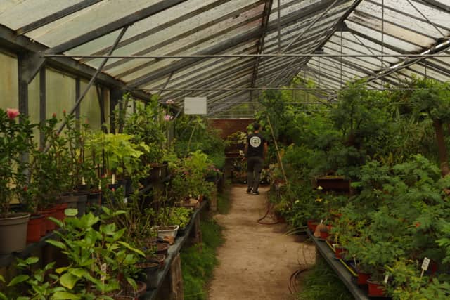 Pépinière de Brédérac Greenhouse - Image 1
