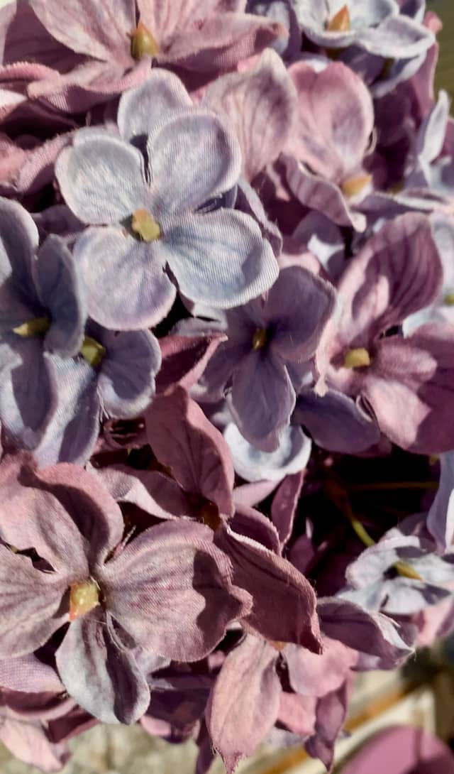La Salle Road Floral Display - Image 1