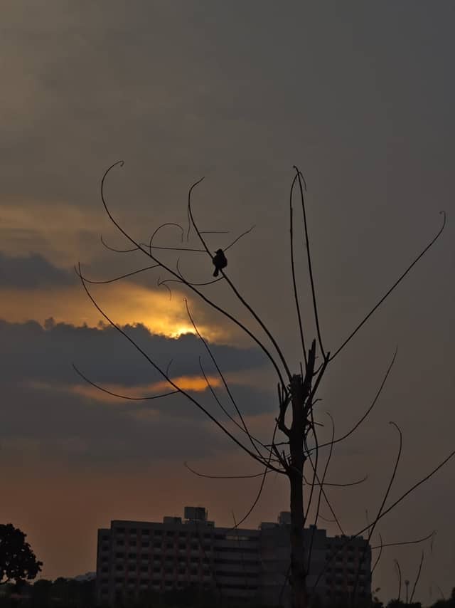 Ashta Sunset Viewpoint - Image 1