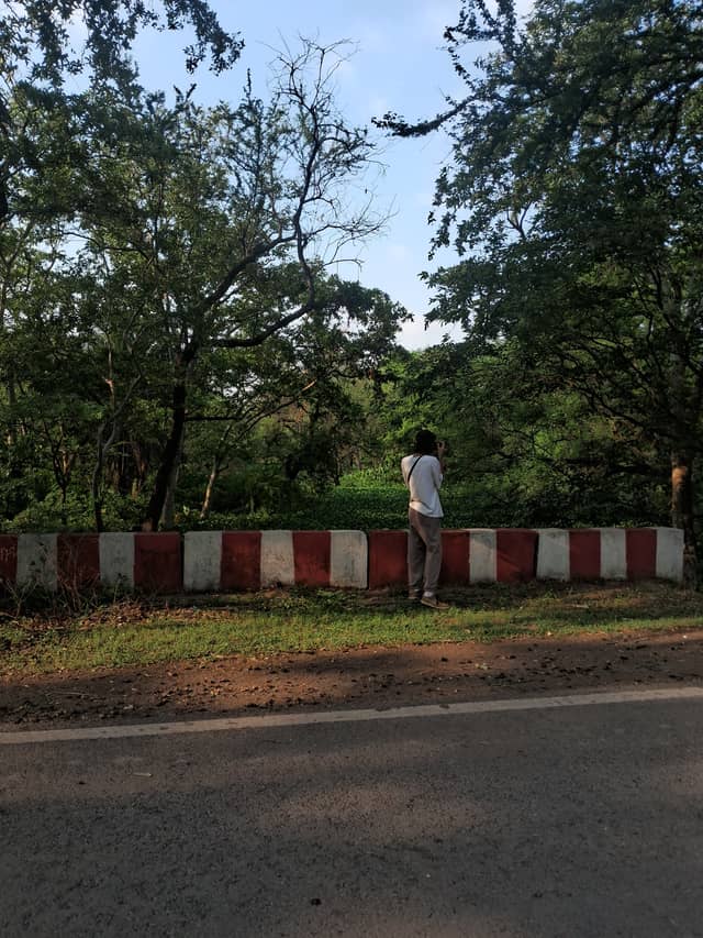 Nandan Van Forest Roadside - Image 1