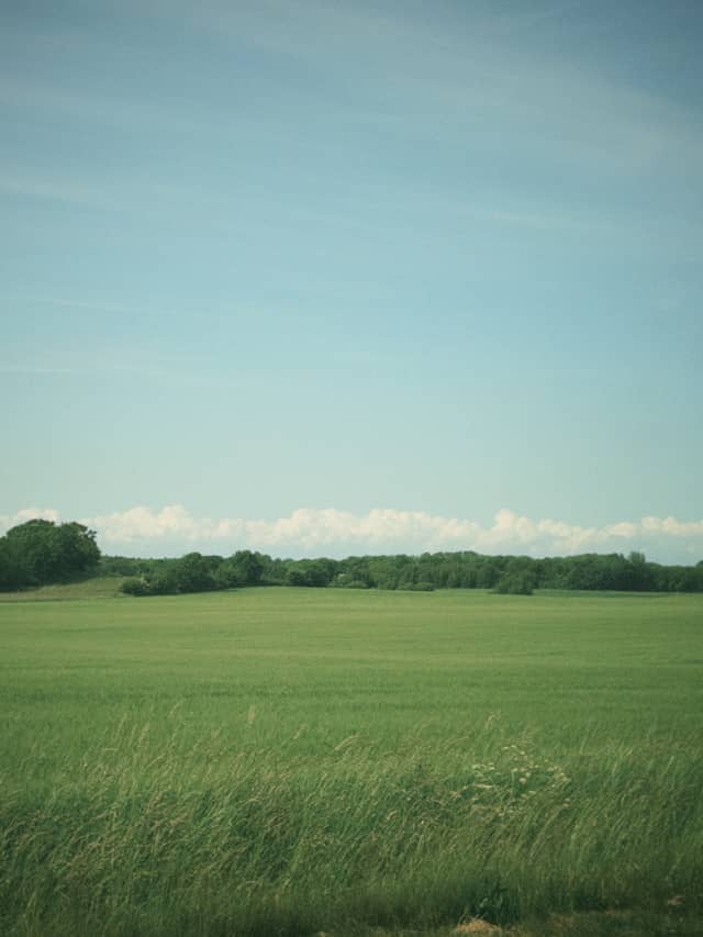 Bornholm Rural Landscape - Image 1