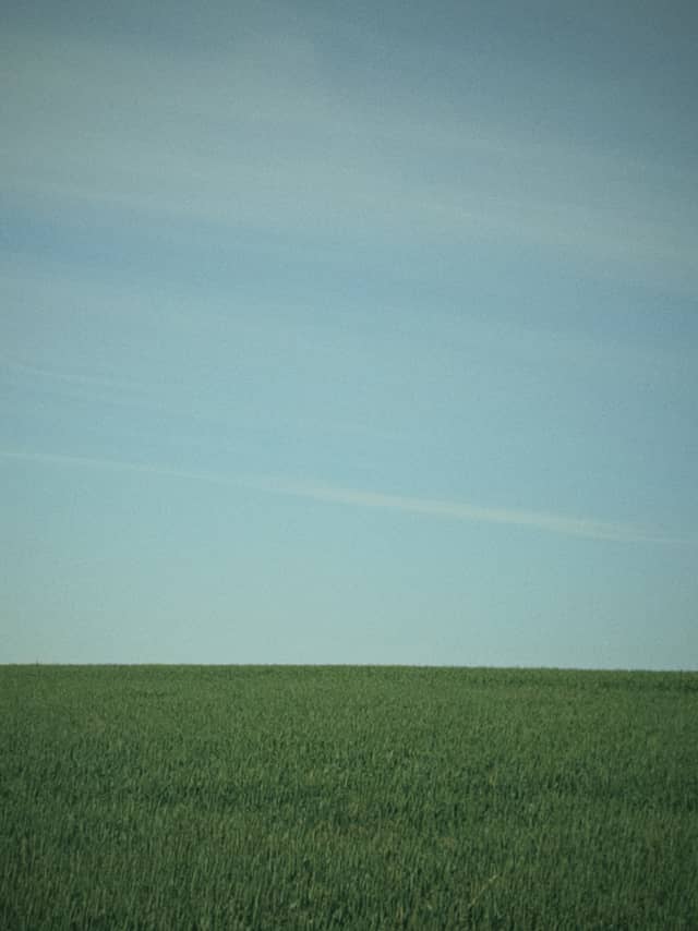 Nørre Aaby Green Fields - Image 1