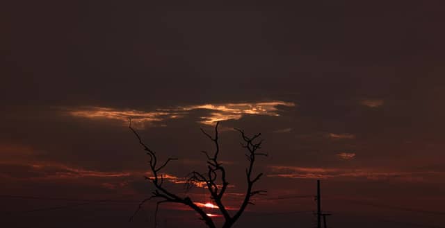 Gujranwala Sunset Silhouette - Image 1