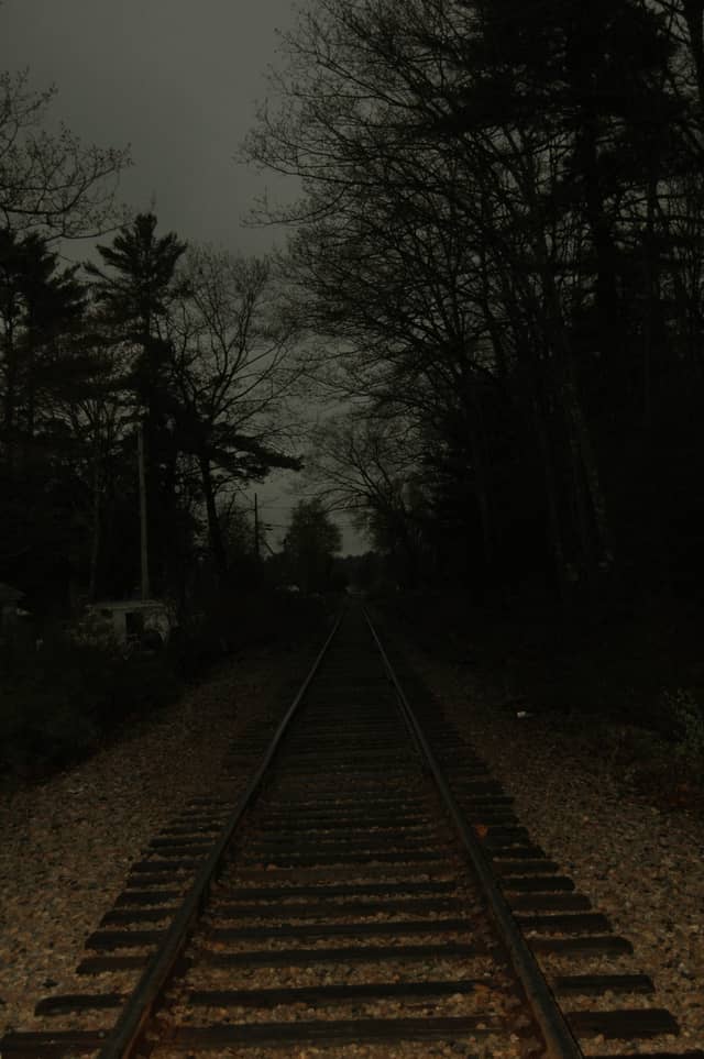 Milton Forest Railroad - Image 1