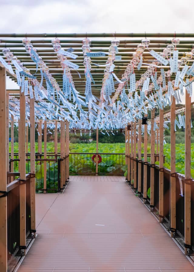 Shinobazu Pond Wind Chime Walkway - Image 1