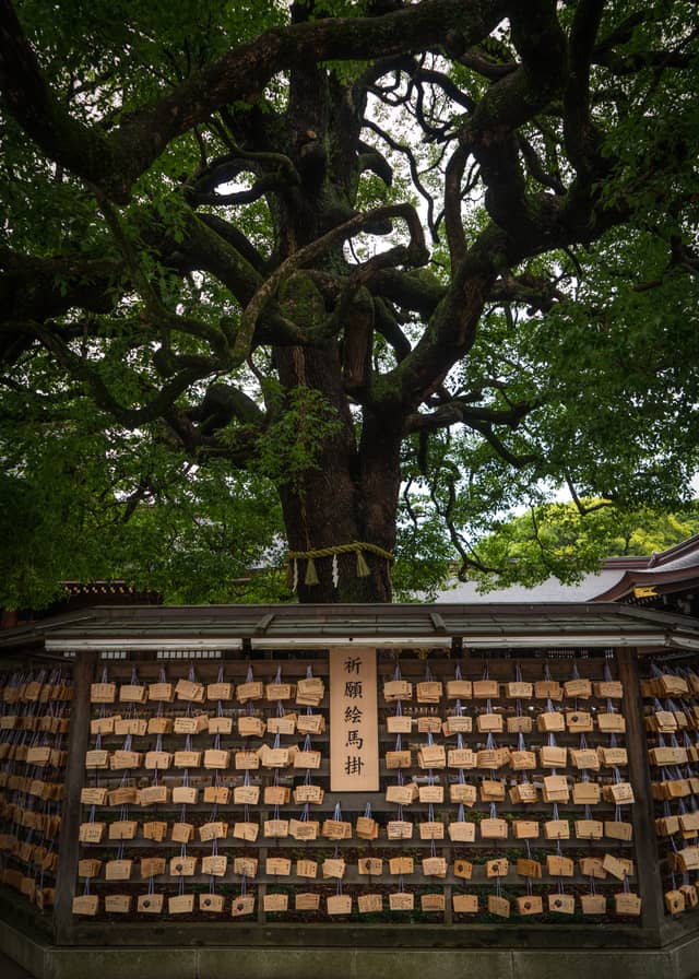 Meiji Jingu Shrine - Image 1