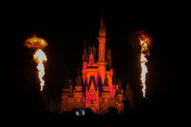 Cinderella Castle Night Show - Image 1