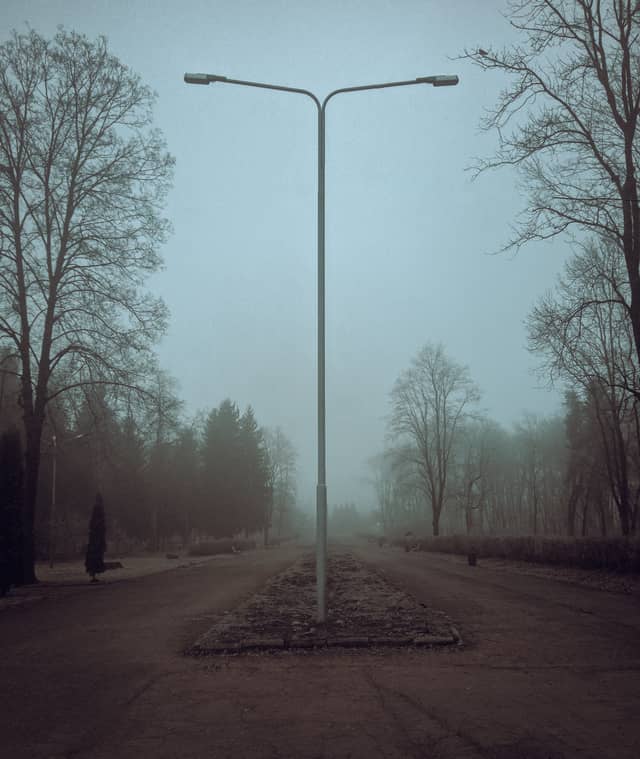 Khetagurov Park Path - Image 1