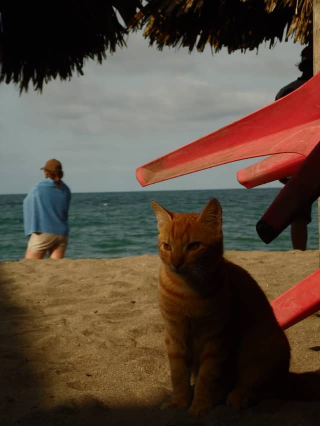 Santa Marta Beachfront - Image 1
