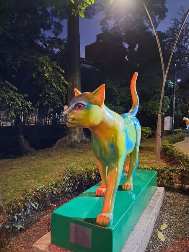 Parque de los Gatos - Image 1