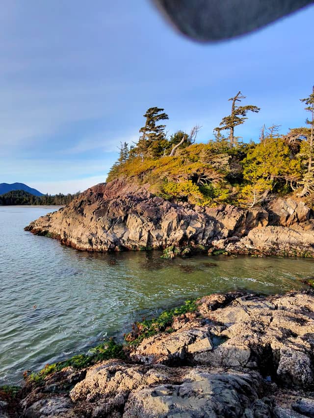 Wild Pacific Trail Coastline - Image 1