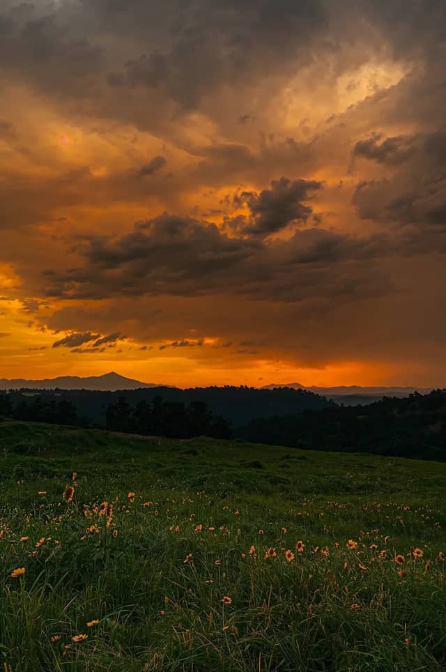 Sevierville Mountain View Meadow - Image 1