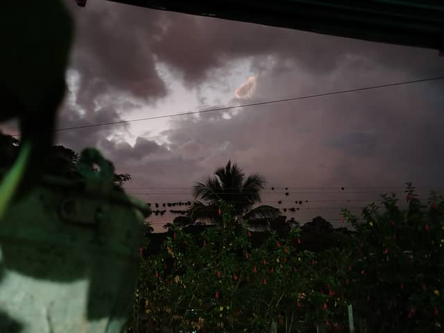 Guanare Twilight Garden View - Image 1