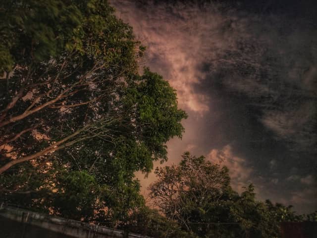 Guanare Twilight Canopy - Image 1