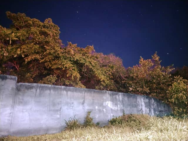 Guanare Night Garden Wall - Image 1