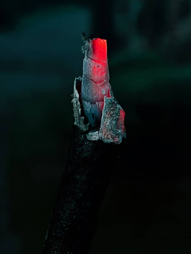 Glowing Ember Detail - Image 1