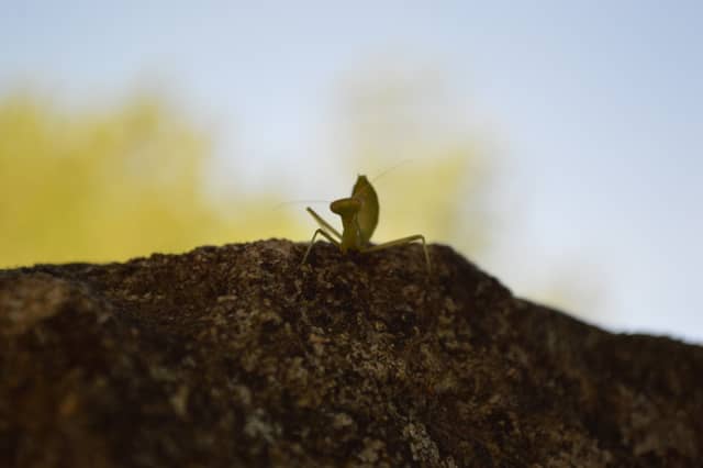 Ochre Trail of Roussillon - Image 1