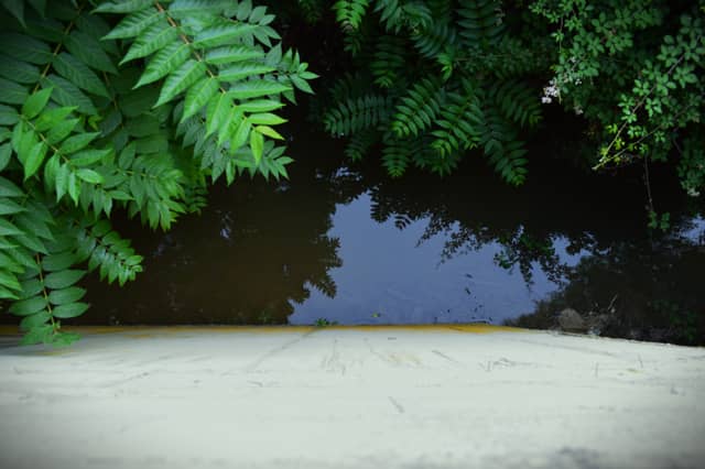 Calavon River Overlook - Image 1