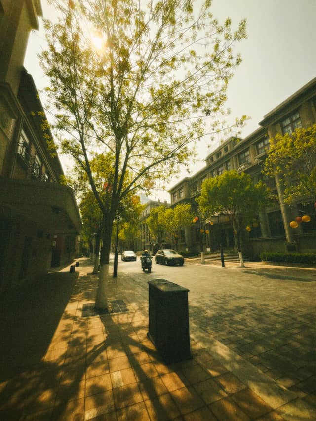 Sun-Drenched European Style Street - Image 1