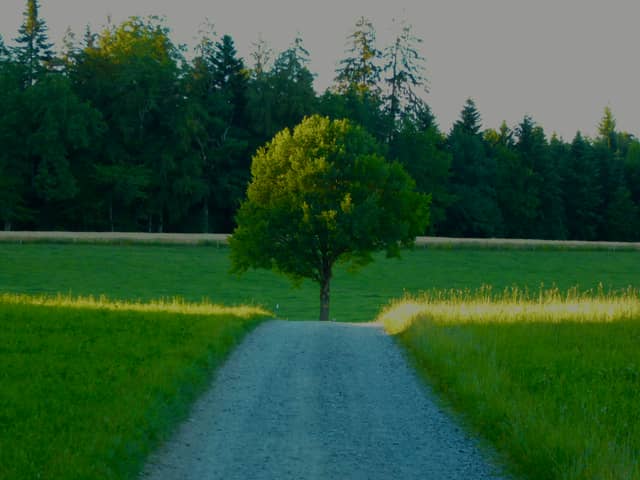 Bremgarten Rural Path - Image 1