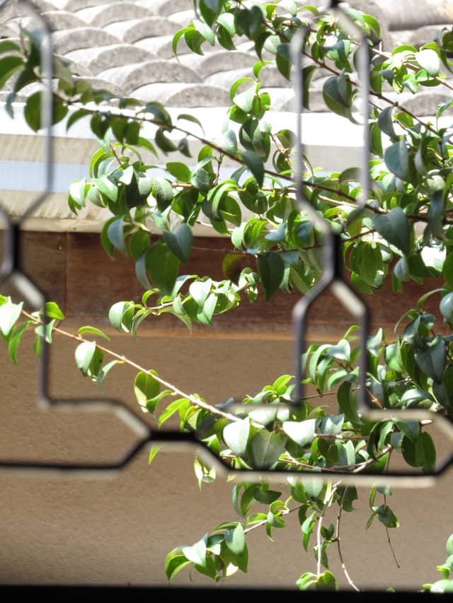 Jardins Garden View - Image 1