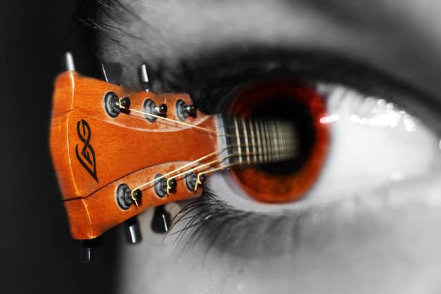 Surrealist Macro Studio - Image 1