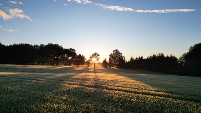 Silesian Beskids Meadow - Image 1