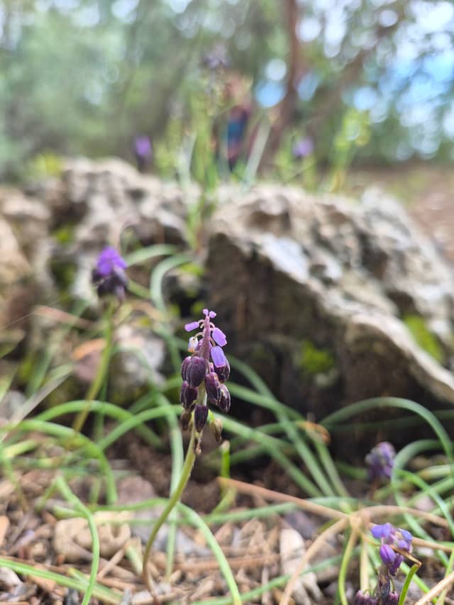Kozan Nature Trail - Image 1