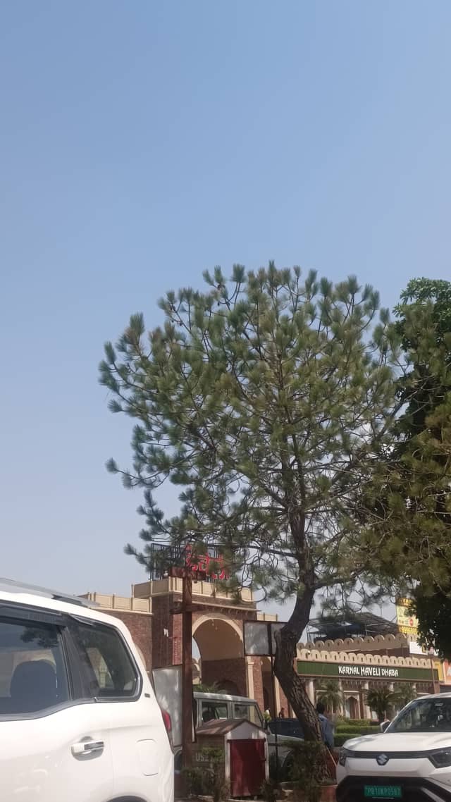Karnal Haveli - Image 1