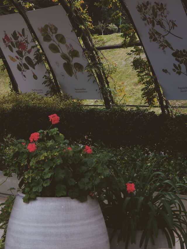Botanical Garden of Curitiba - Image 1