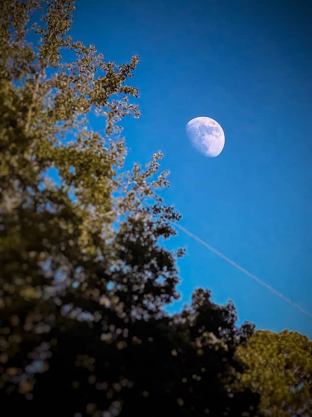 Ashland Woodland Moon View - Image 1