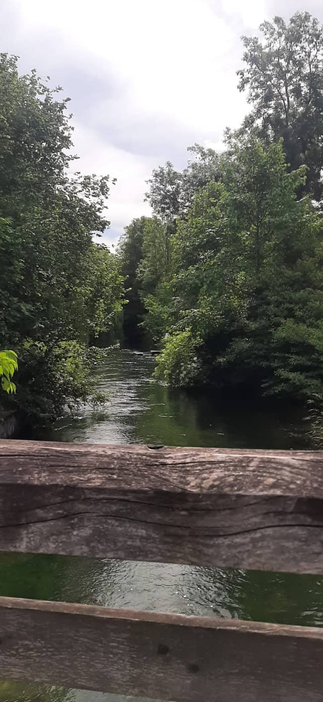 Schwarzach River Overlook - Image 1