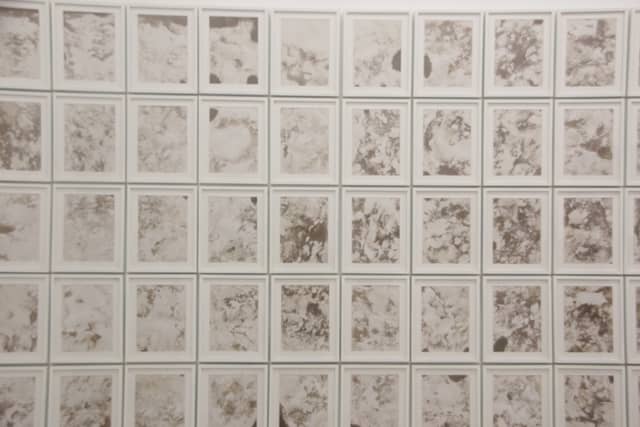 Kochi-Muziris Biennale Installation - Image 1