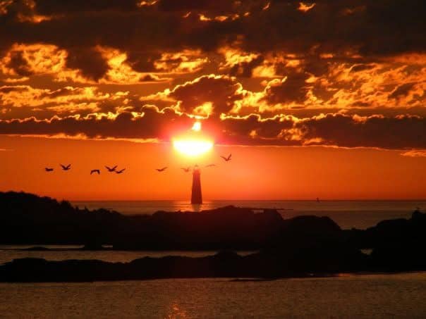 Minot's Ledge Light Viewpoint - Image 1